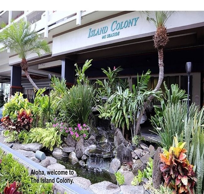 Building Photo - Remodeled High floor furnished Studio/1 Bath at Island Colony - Available 11/30/25