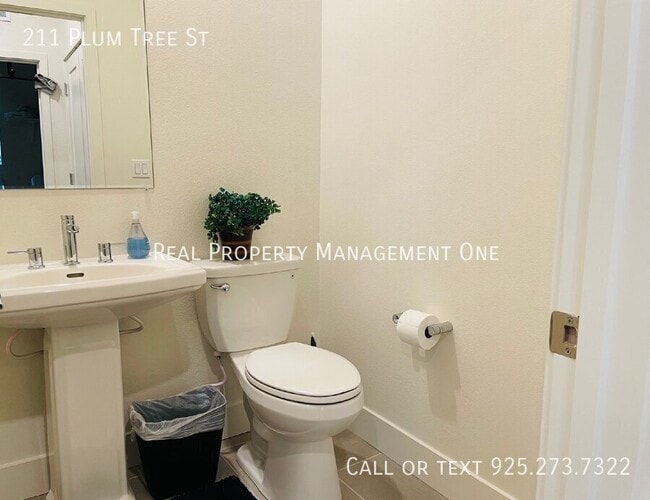 Building Photo - 211 Plum Tree St