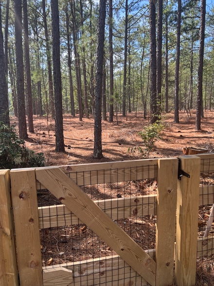 Side gate to private walking trail - 1104 Linden Rd