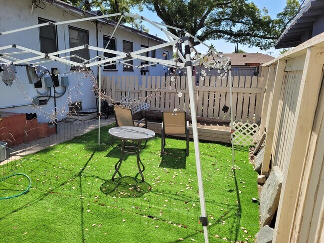 backyard - 902 Patterson Ave