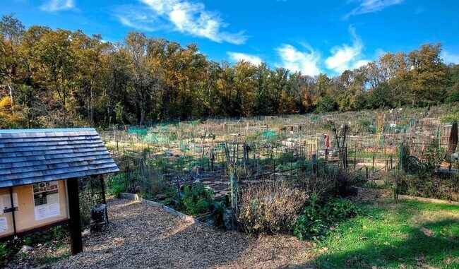 Community Garden - 2325 42nd St NW