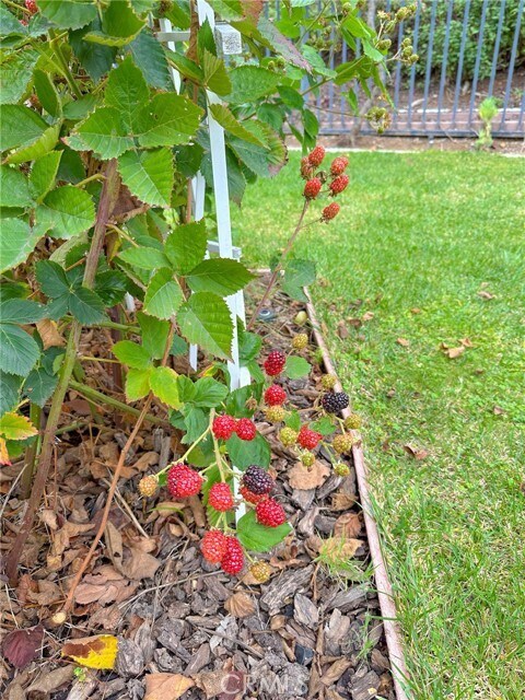 Building Photo - 31785 Vía Del Viento