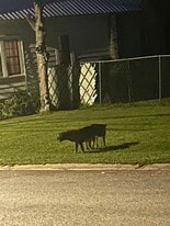 Building Photo - 135 Persimmon St