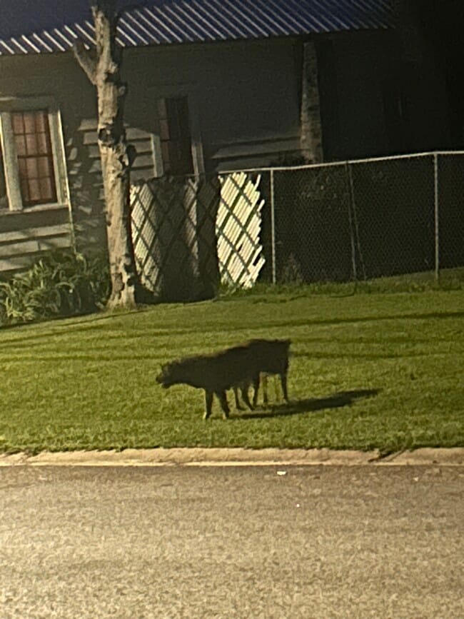 Building Photo - 135 Persimmon St