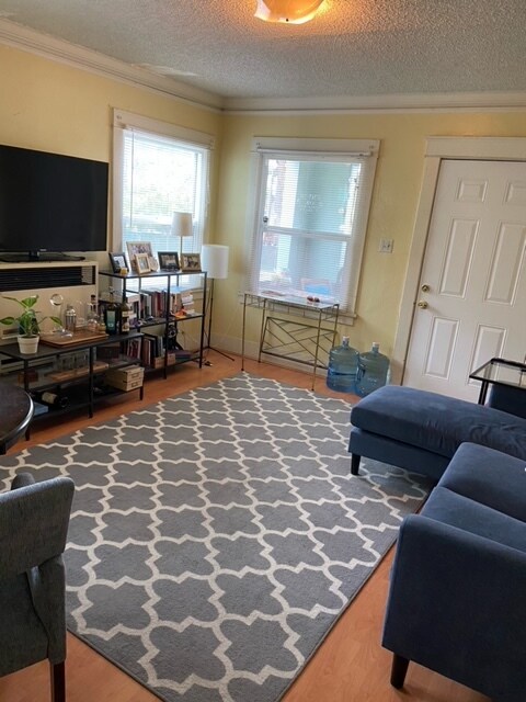 living room - 1707 Park Ave