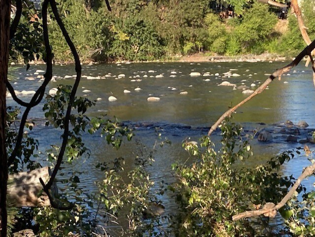 Building Photo - 18317 E Riverway Ave