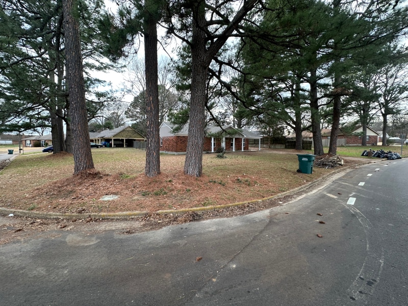 Building Photo - 1153 Claiborne Dr