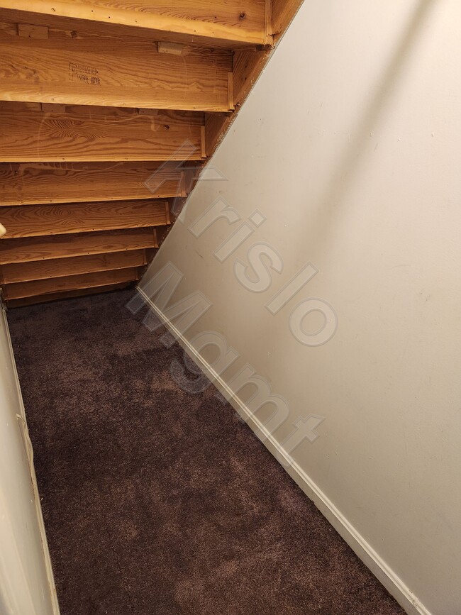 Closet Under Stairs 1st Floor - 927 Harwood Rd