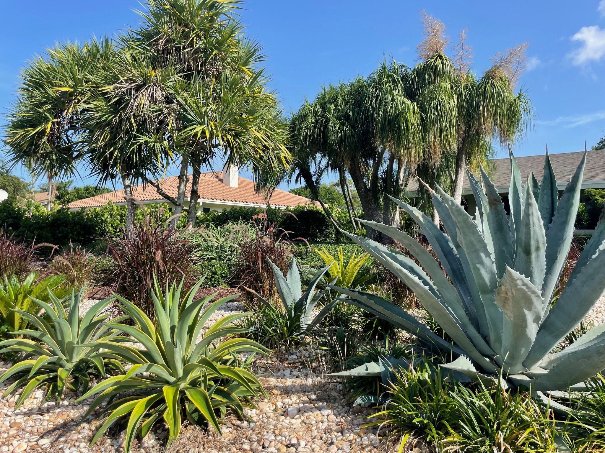 Front Landscaped garden - 301 NW 53rd St