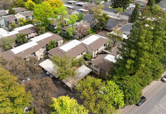 Building Photo - Beautiful Sawmill Commons Condo!