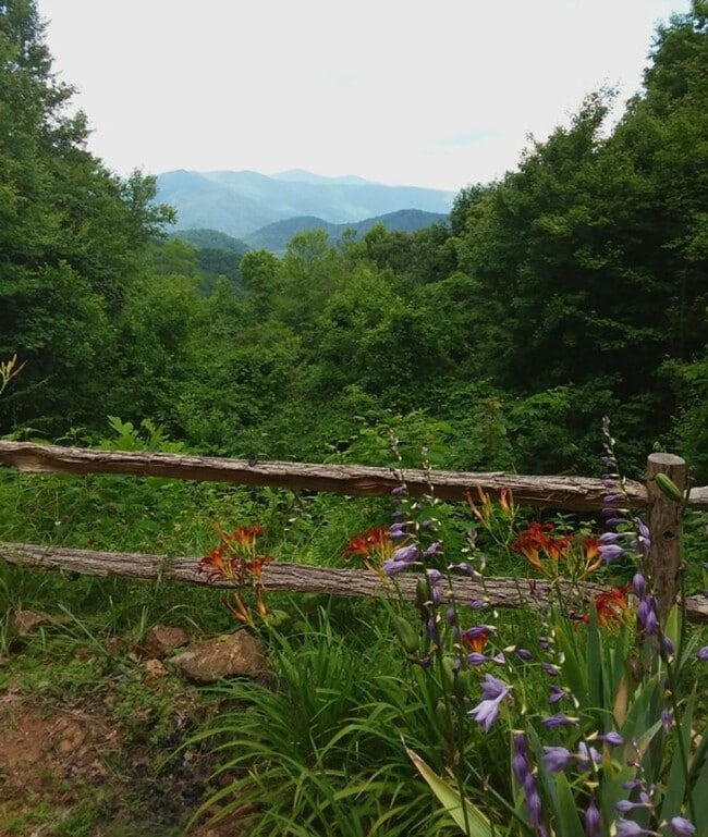 Building Photo - $1,500 - 2 Bedroom / 2 Bath Fully Furnished Cabin with an Amazing View in the Pumpkintown Community