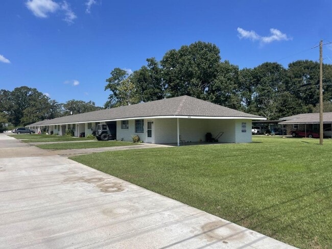 Primary Photo - 12513 Forrest Braud Ln
