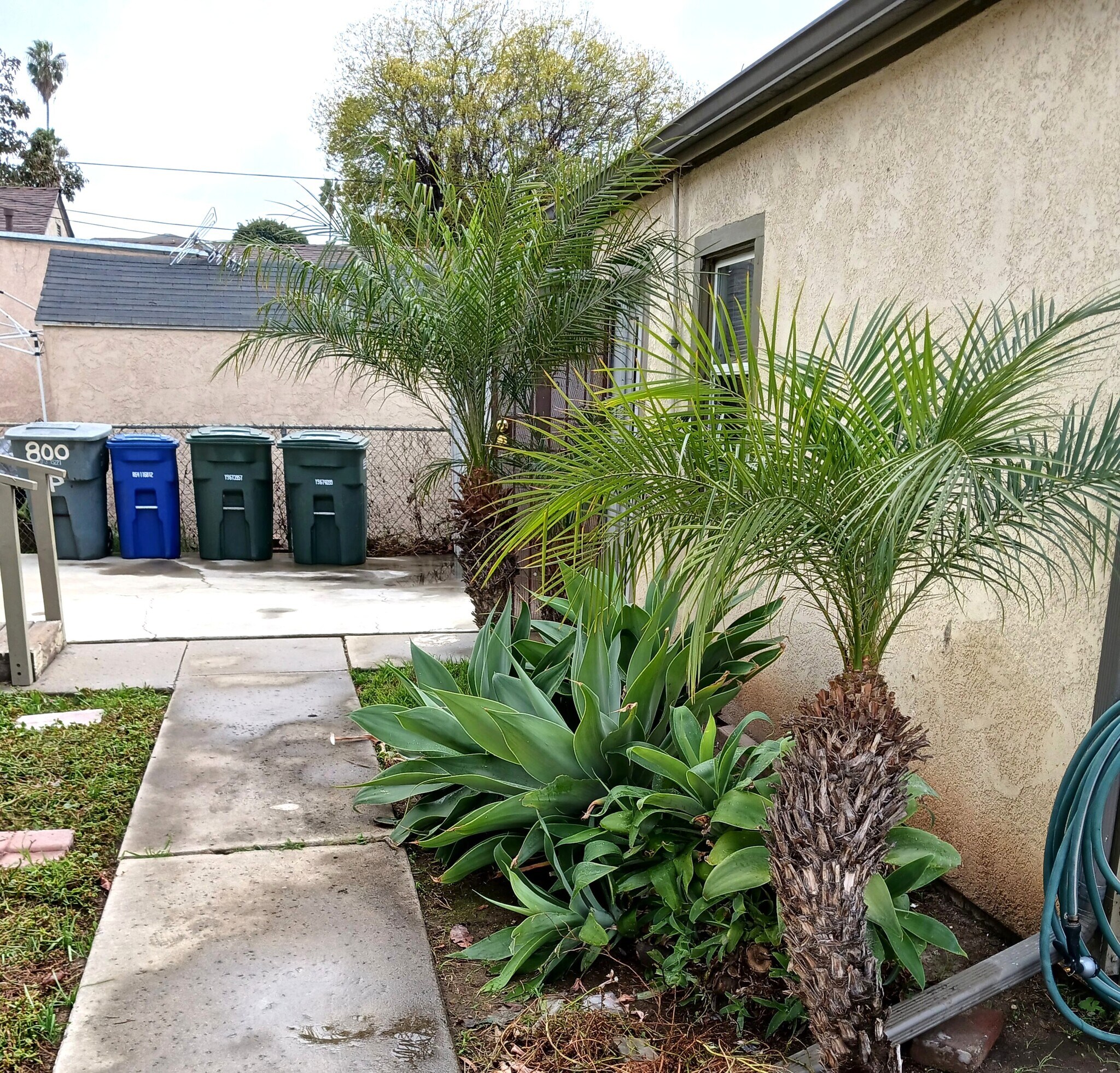 Building Photo - 2000 E 8th St