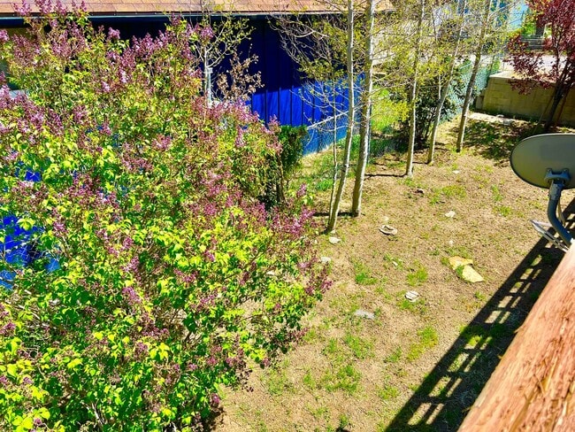 Building Photo - 6601 Lowry Ln