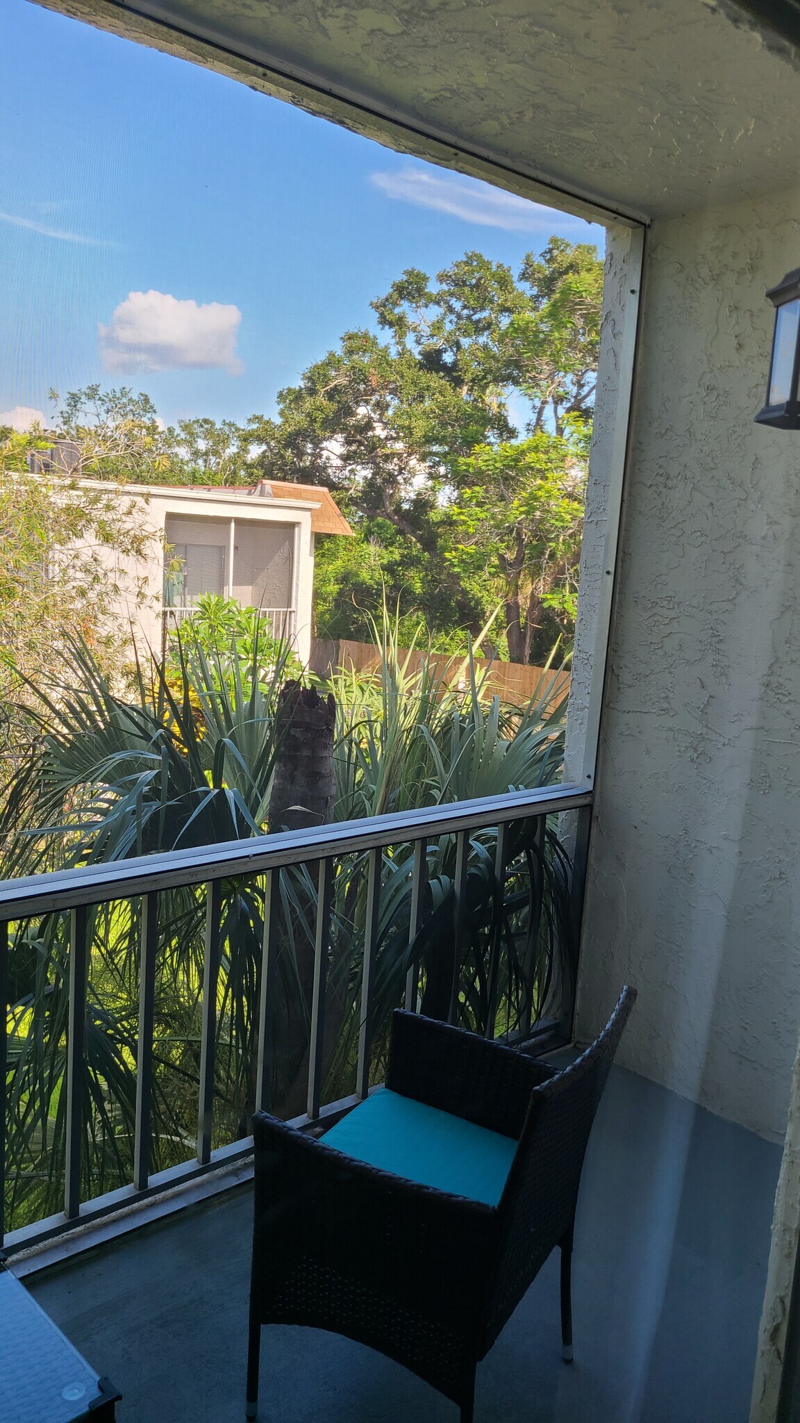 View From Balcony - 205 S McMullen Booth Rd