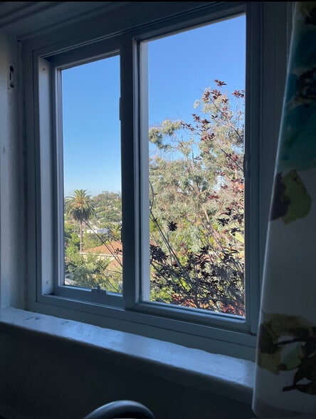 view above kitchen sink - 1038 Glen Arbor Ave