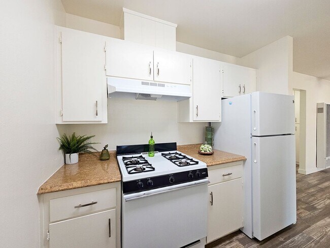 Interior Photo - Shady Terrace Apartments!