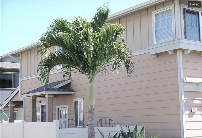 Primary Photo - 91-1215-1215 Kanela St
