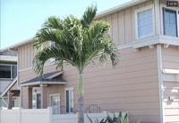 Building Photo - 91-1215 Kanela St, Unit 1