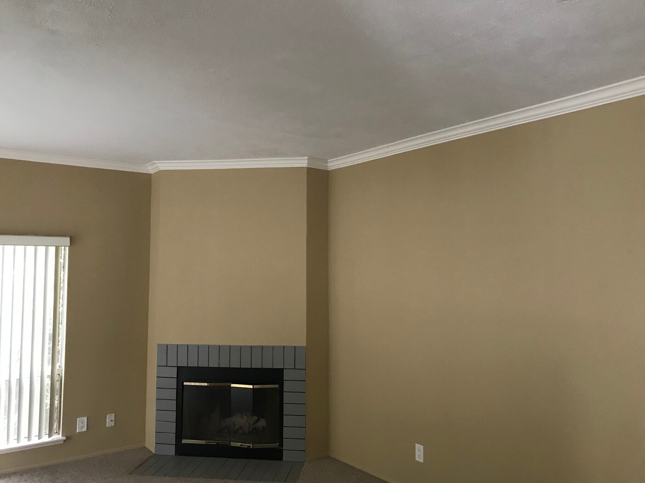 Living room fireplace and Crown molding - 4131 Udall St