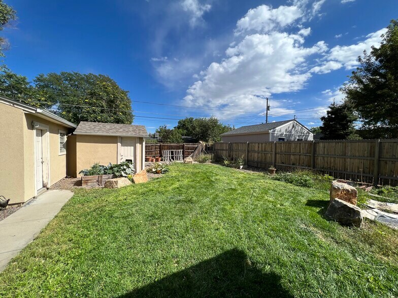 Backyard in summer - now with a new fence! - 5130 Clay St
