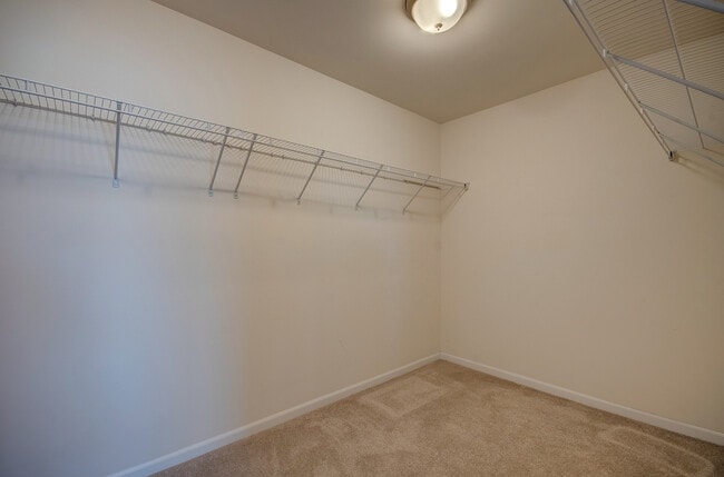 Building Photo - 15728 Brookshore Dr