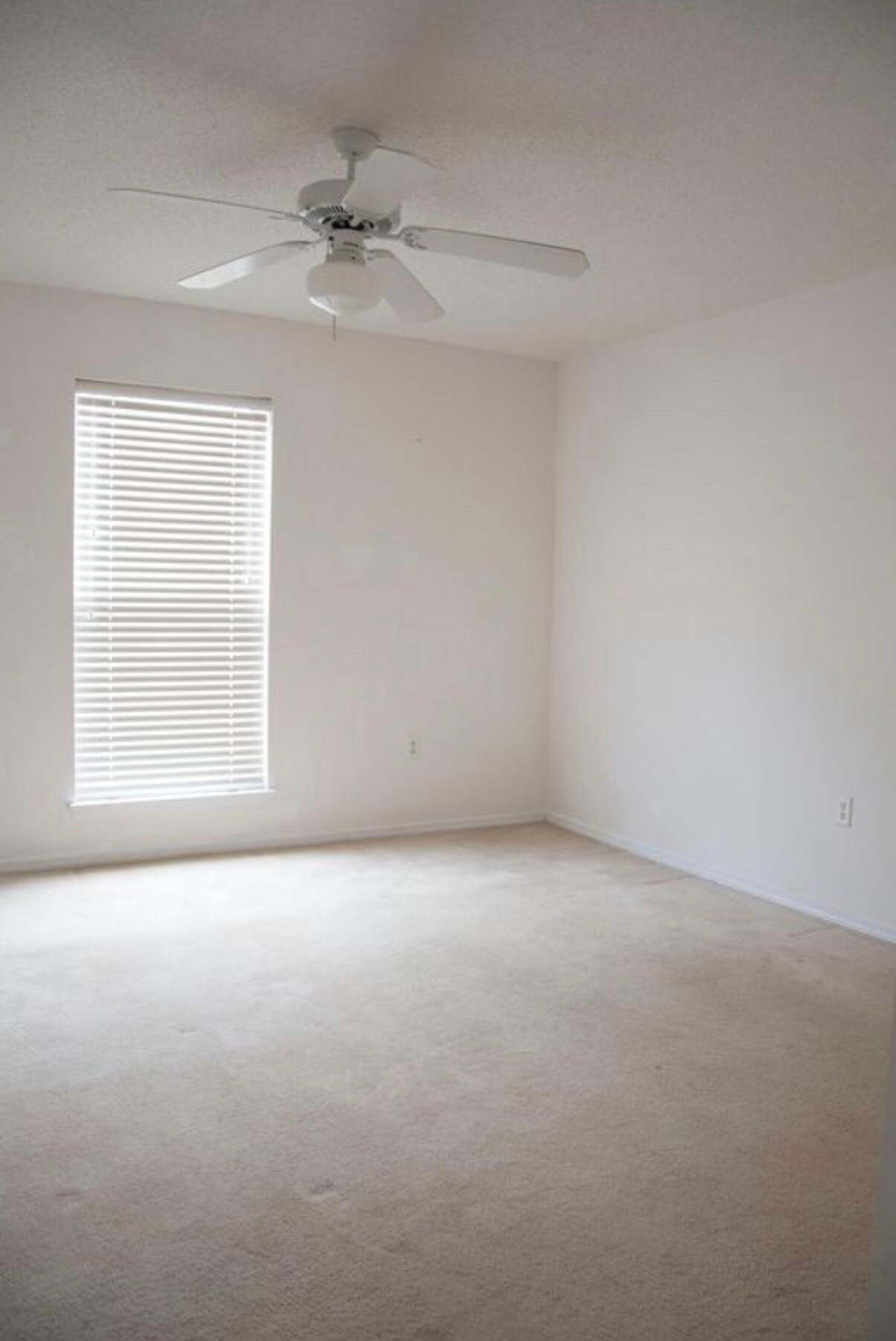 Building Photo - 4550 Barrington Ln