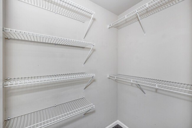 Building Photo - Fresh Paint & New Carpet! 4BR with Fenced Yard