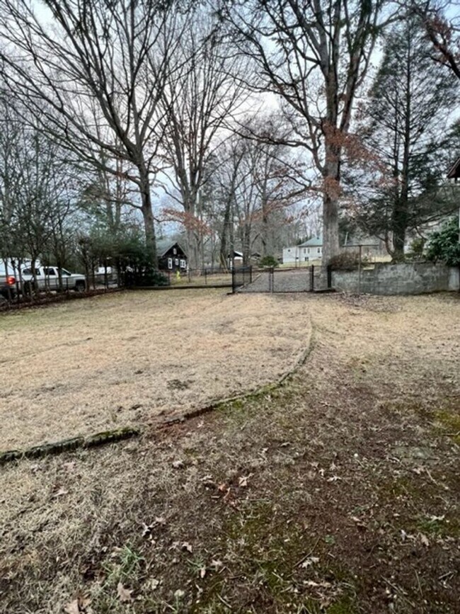 Building Photo - Black Mountain Rental