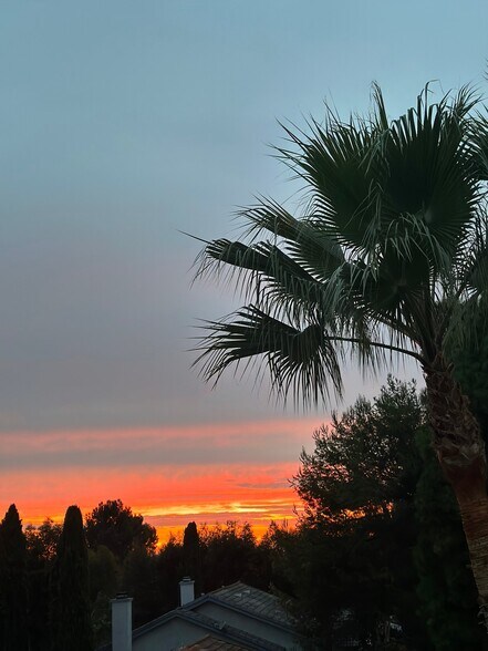 Building Photo - 6803 Urubu St