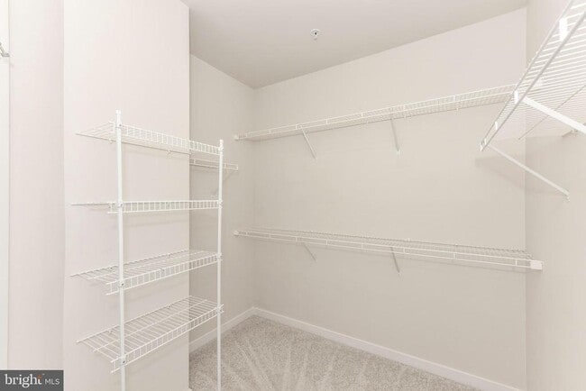 Building Photo - 43185 Mongold Square