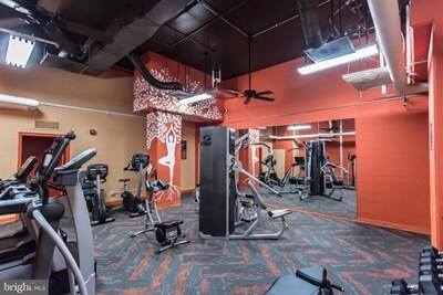 Community Gym - 1225 Martha Custis Dr