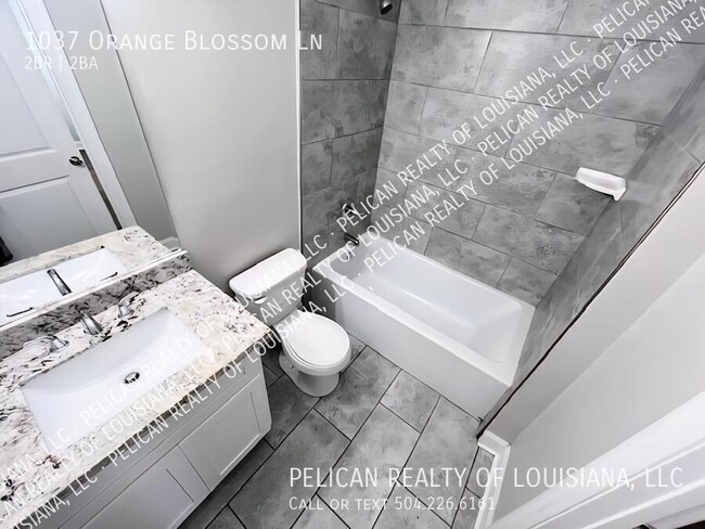 Building Photo - 1037 Orange Blossom Ln