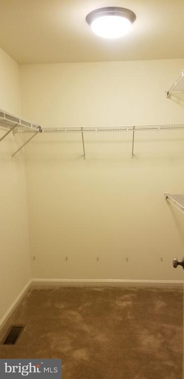 Building Photo - 1826 Cassandra Dr