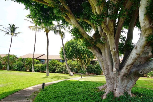Building Photo - Rare Haleakala Gardens Top Floor Corner Un...