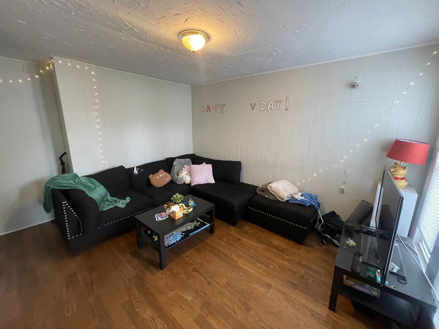 Living Room - 143 Winchester Ave