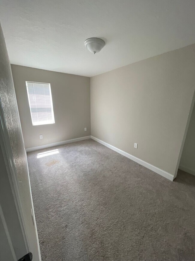 Building Photo - Spacious Clearwater Home with Modern Comforts with Private Backyard! 2bed | 1Bed