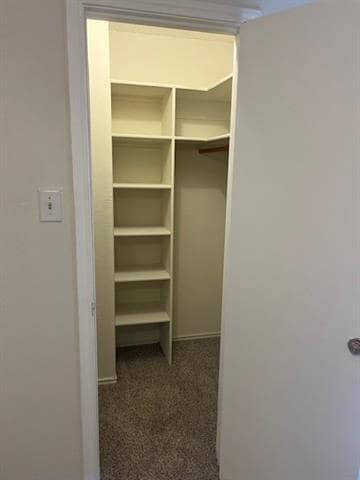 Building Photo - 2420 Dalewood Ln