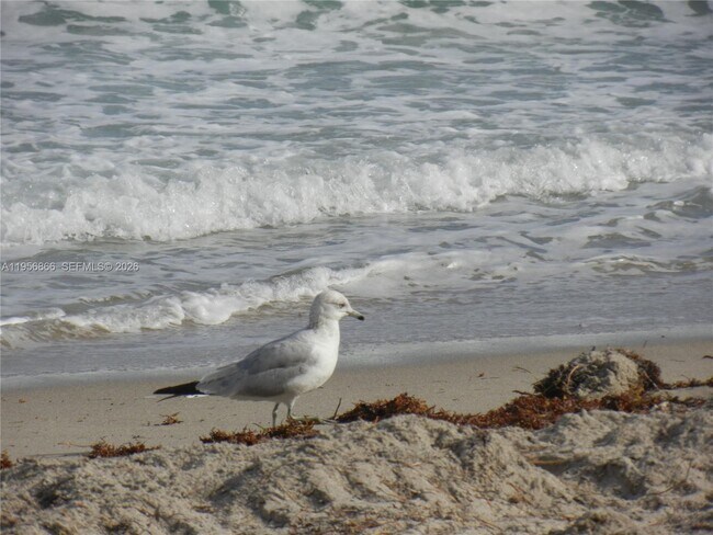 Building Photo - 2001 S Ocean Dr