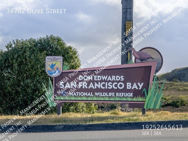 Building Photo - 36702 Olive St