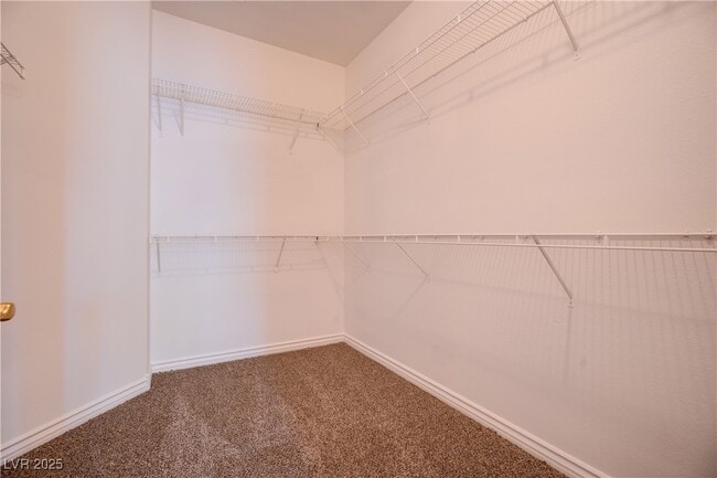 Building Photo - 2412 Energized Ct