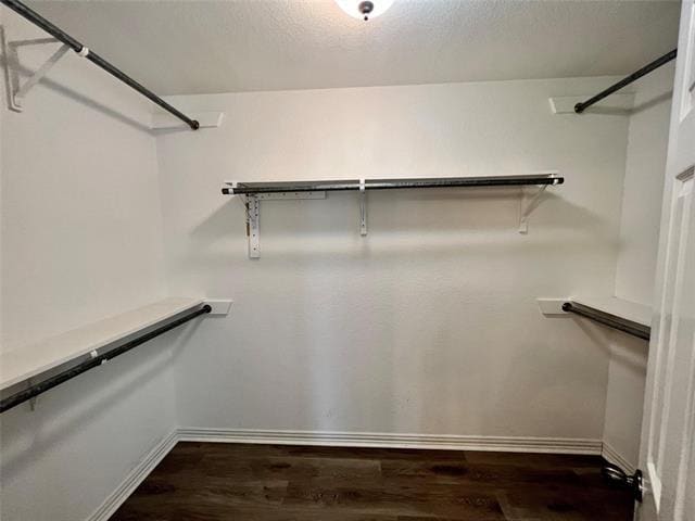 Building Photo - 4324 Stone Hollow Way