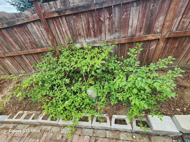 Building Photo - 17902 29th Ave NE