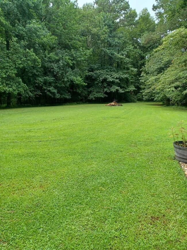Building Photo - Beautiful home on large lot in Western Branch