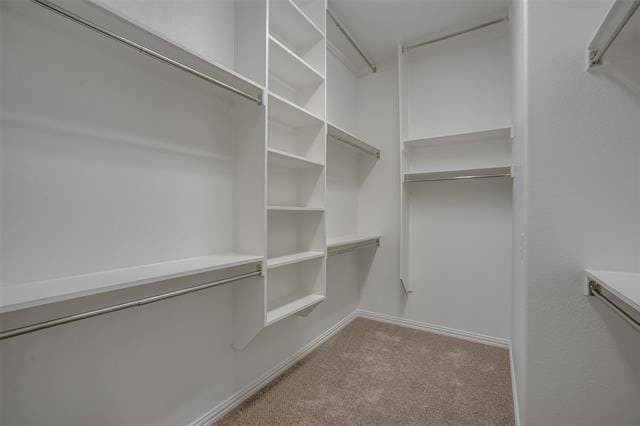 Building Photo - 3105 Damsel Sauvage Ln