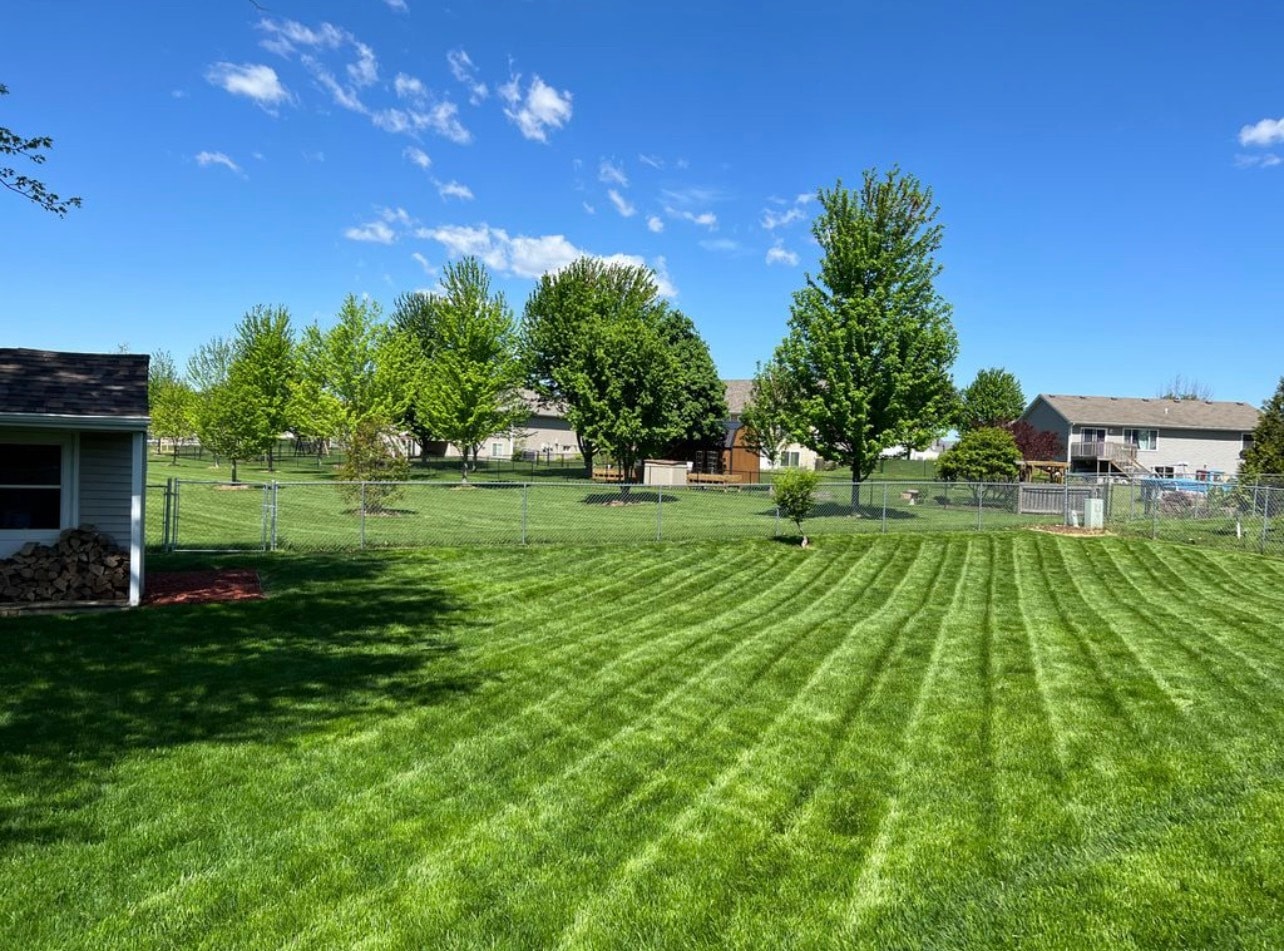 Fenced in yard - 75 Elm Ridge Ct