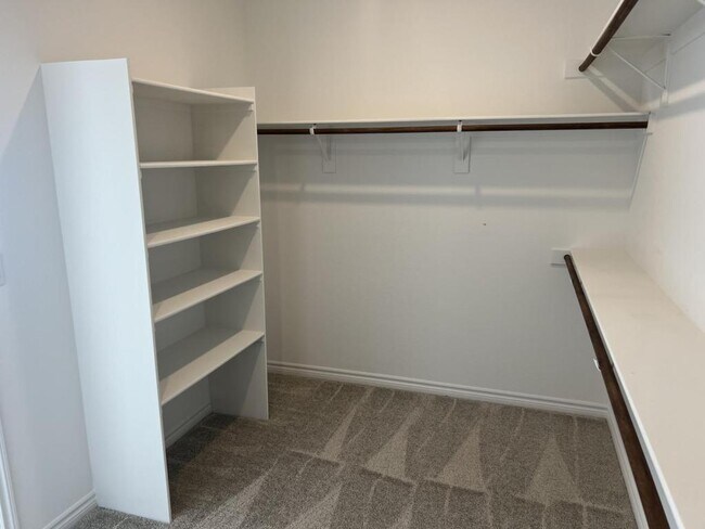 Building Photo - 2825 Overlook Brk St