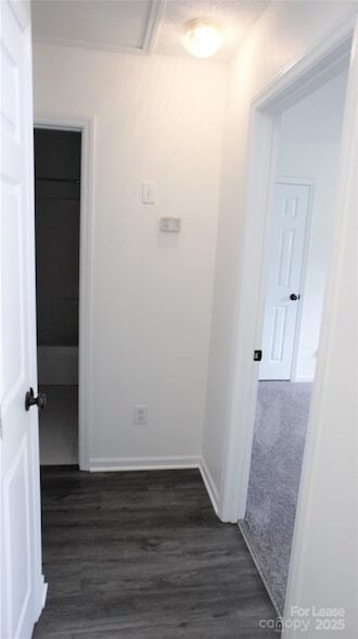 Building Photo - 2309 Ivy Run Dr