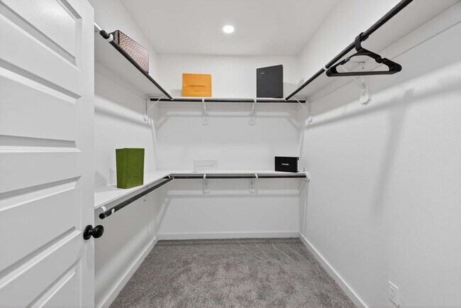 Building Photo - 2909 El Fenice Ln