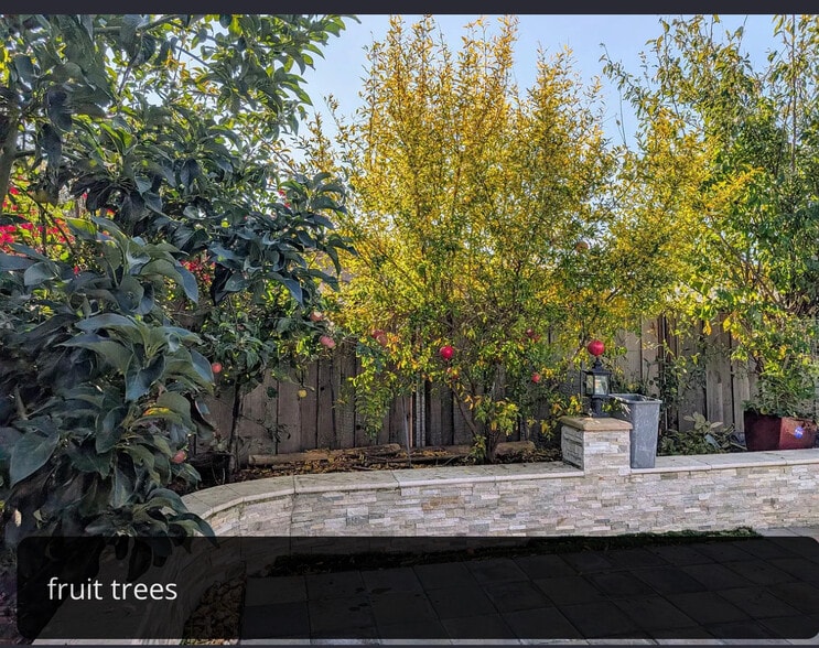 Building Photo - 3576 Franklin Ave